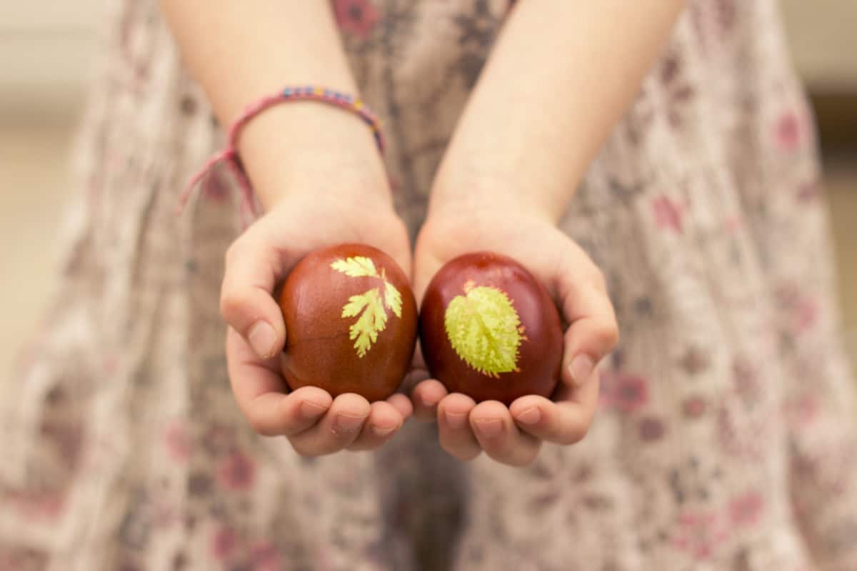Naturally Coloured Easter Eggs - Vikalinka