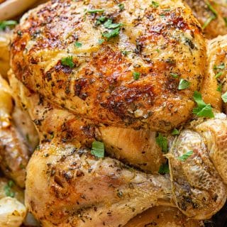 close up of Rosemary and Thyme Roast Chicken and Potatoes