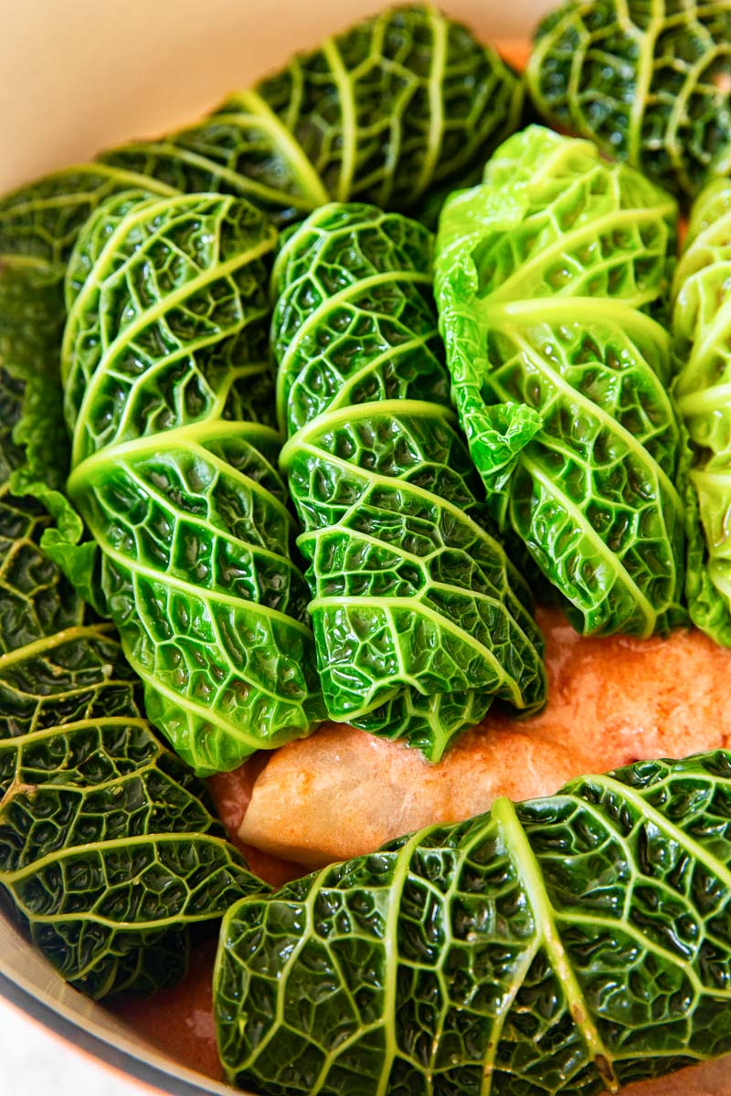 green cabbage leaves