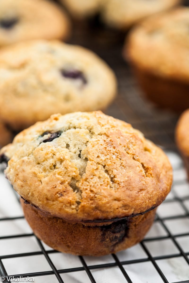 Lemon Blueberry Muffins - Vikalinka