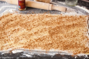 Puff pastry sheet covered with cinnamon and sugar