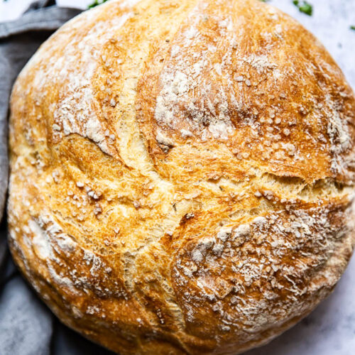 No Knead Bread (Dutch Oven Bread) - Jessica in the Kitchen