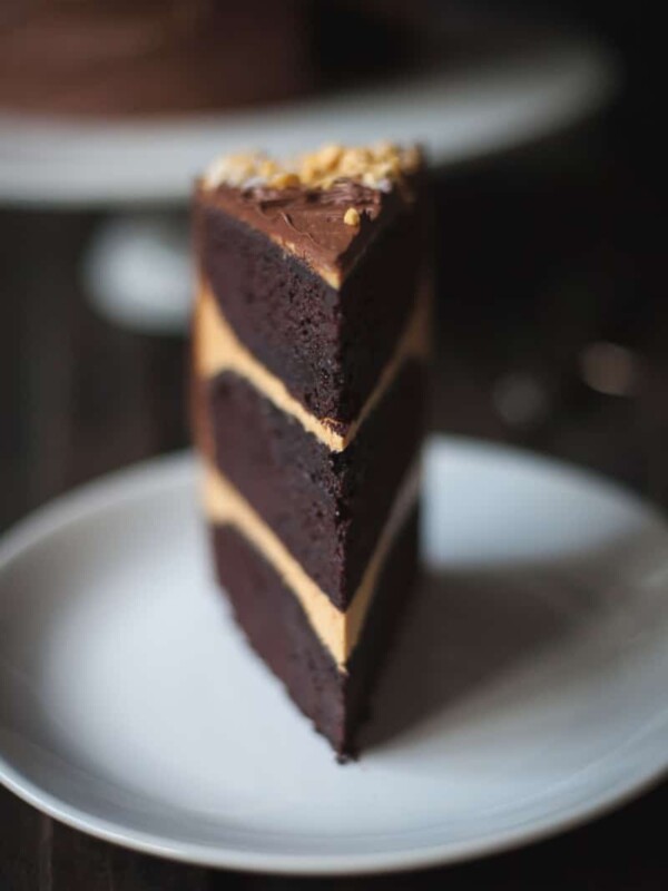 Close up of chocolate honeycomb cake slice