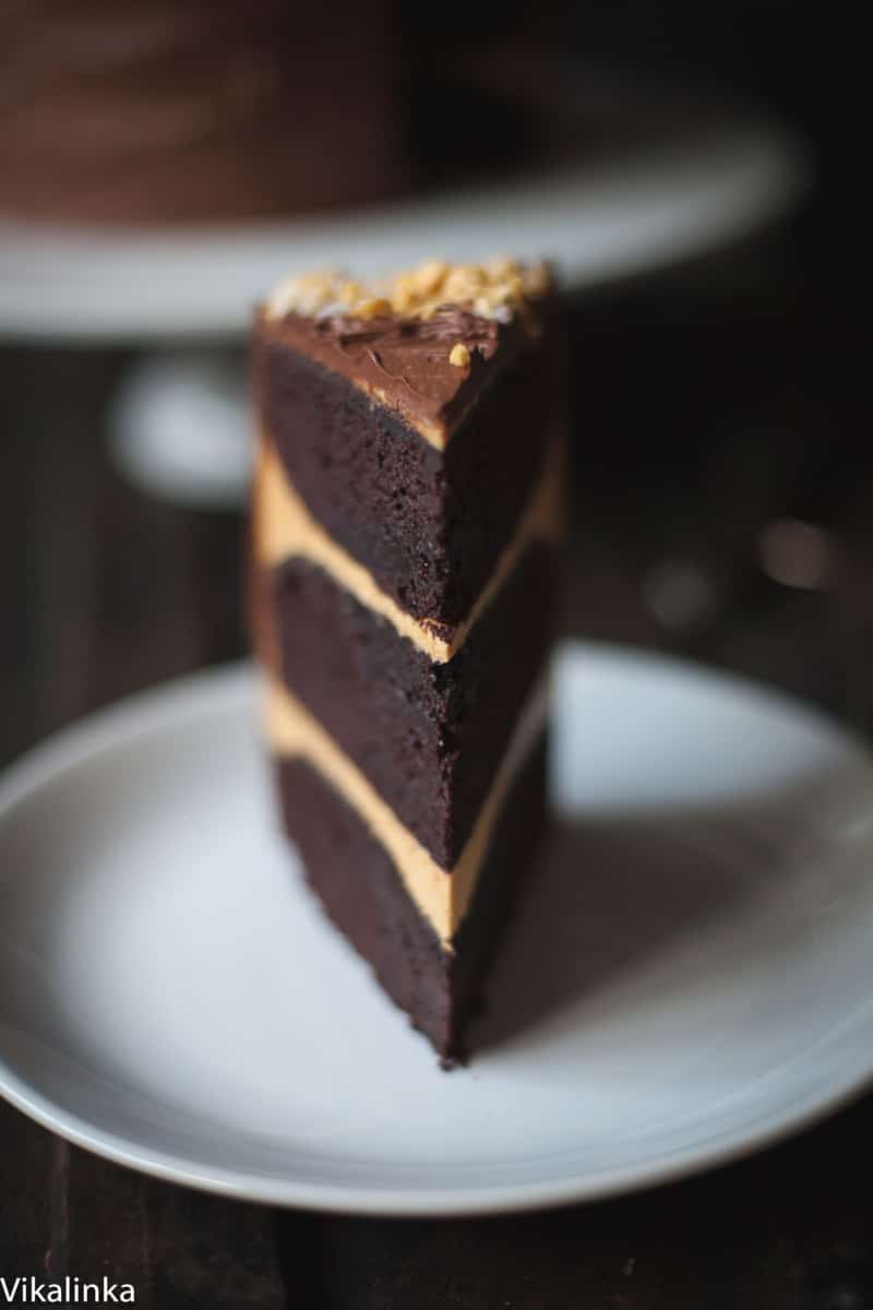 Close up of chocolate honeycomb cake slice