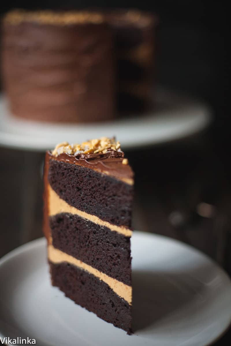 Side shot of chocolate honeycomb cake slice