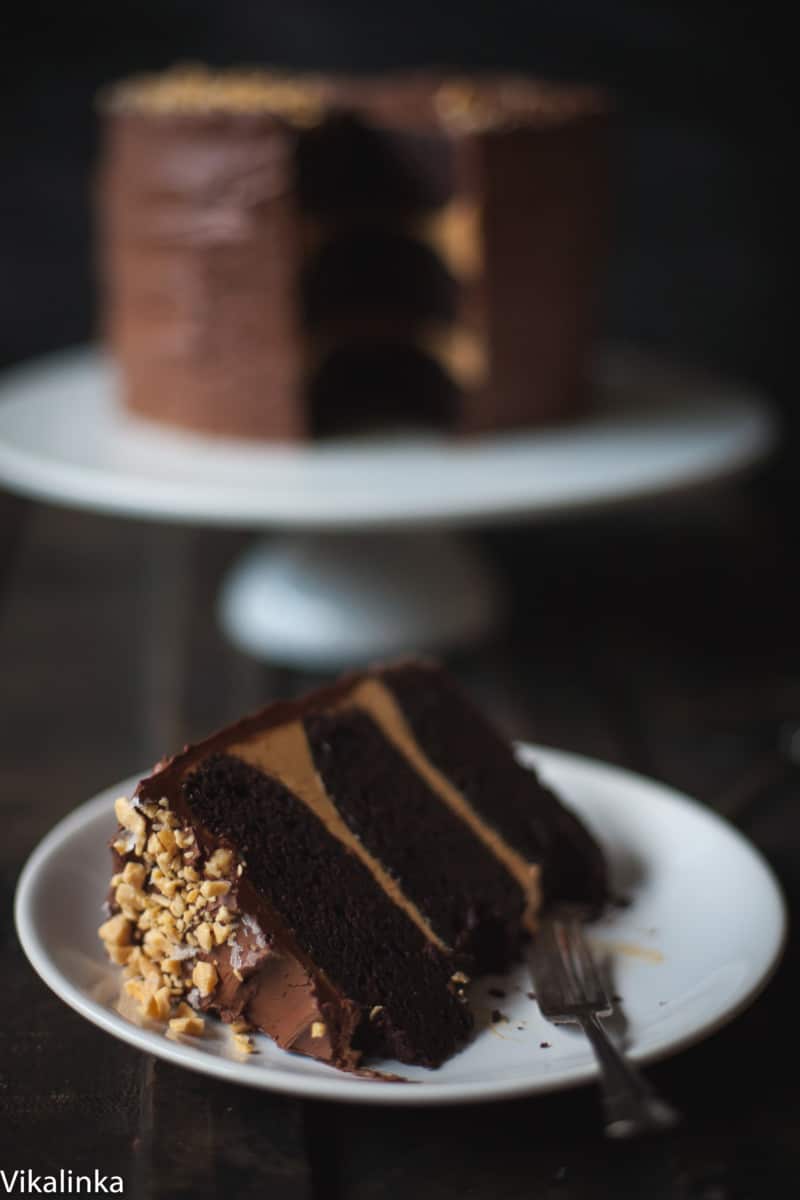 Shot of cake slice on a plate