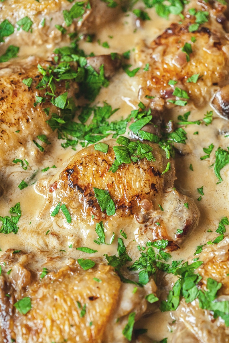 Close up of chicken in the white wine sauce