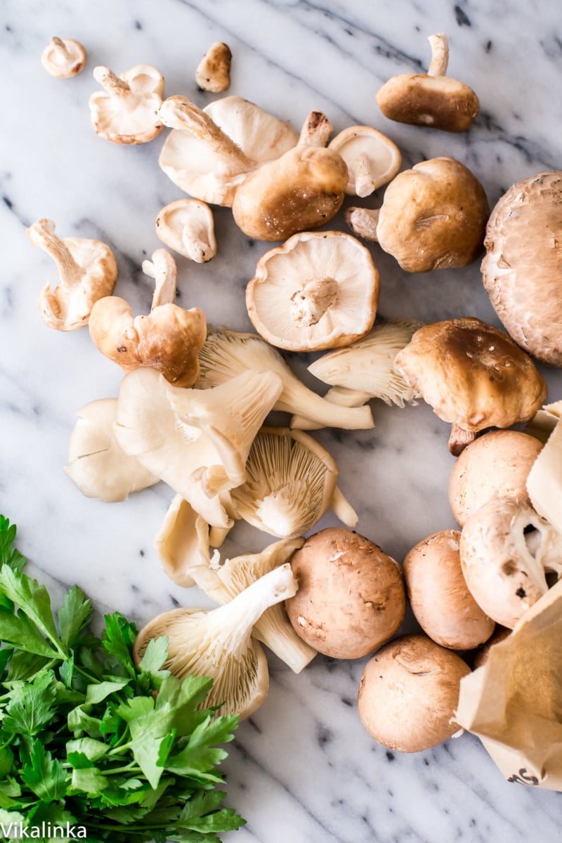 wild mushrooms and parsley on marble