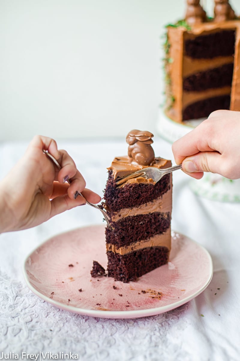 close up of chocolate malted cake slice