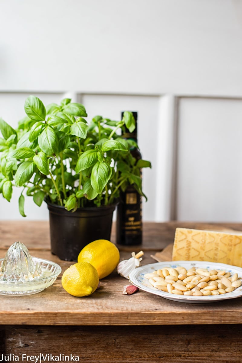 Pesto Pasta with Grilled Chicken, Cherry Tomatoes and Rocket