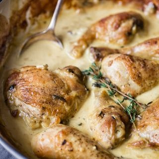 chicken in mustard cream sauce in white pan