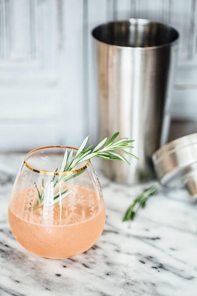 Side shot of G&T with Rosemary and Grapefruit  with cocktail shake behind