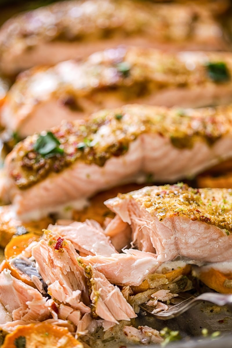 Slices of baked salmon showing flaked consistency