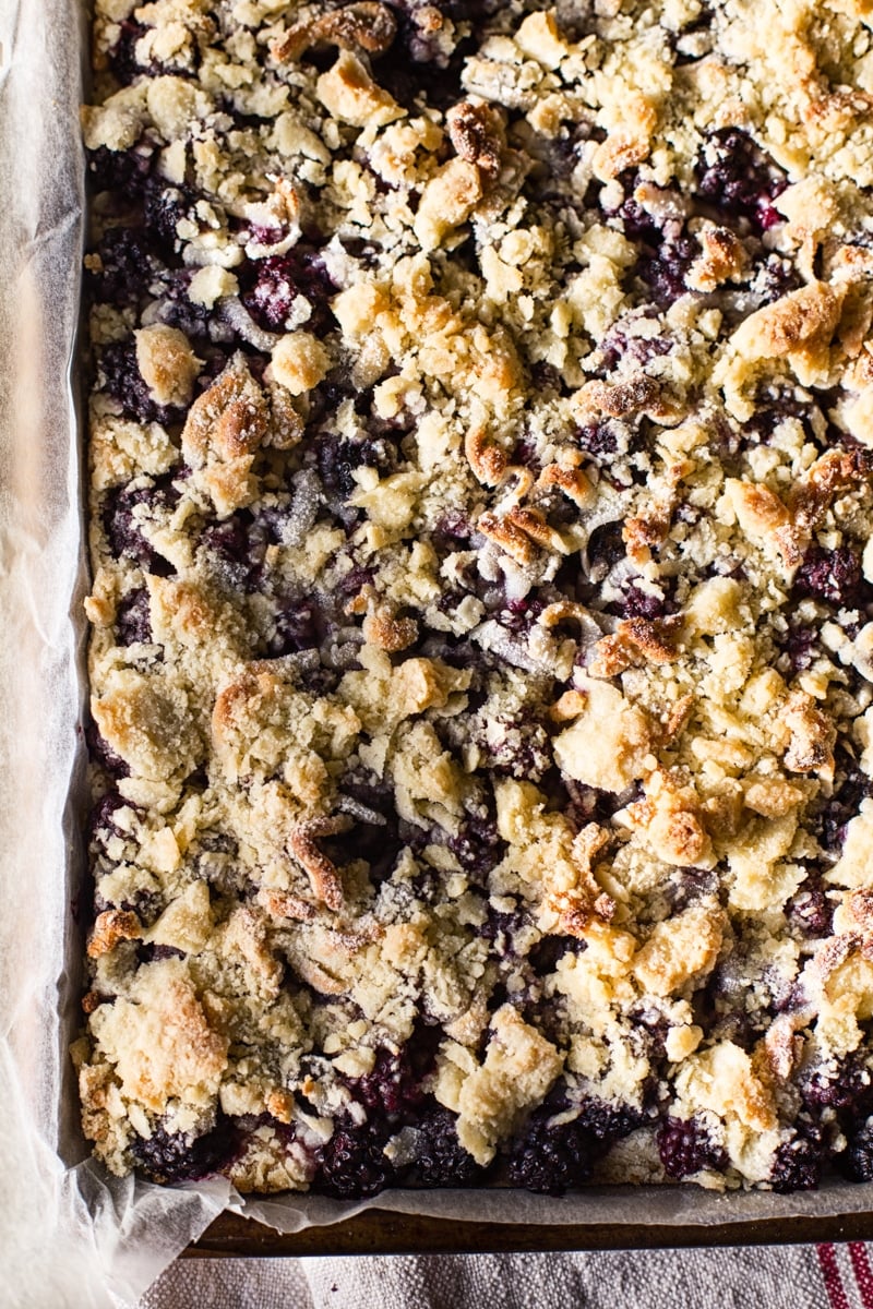 Blackberry Crumble Bars from the top down in the baking dish