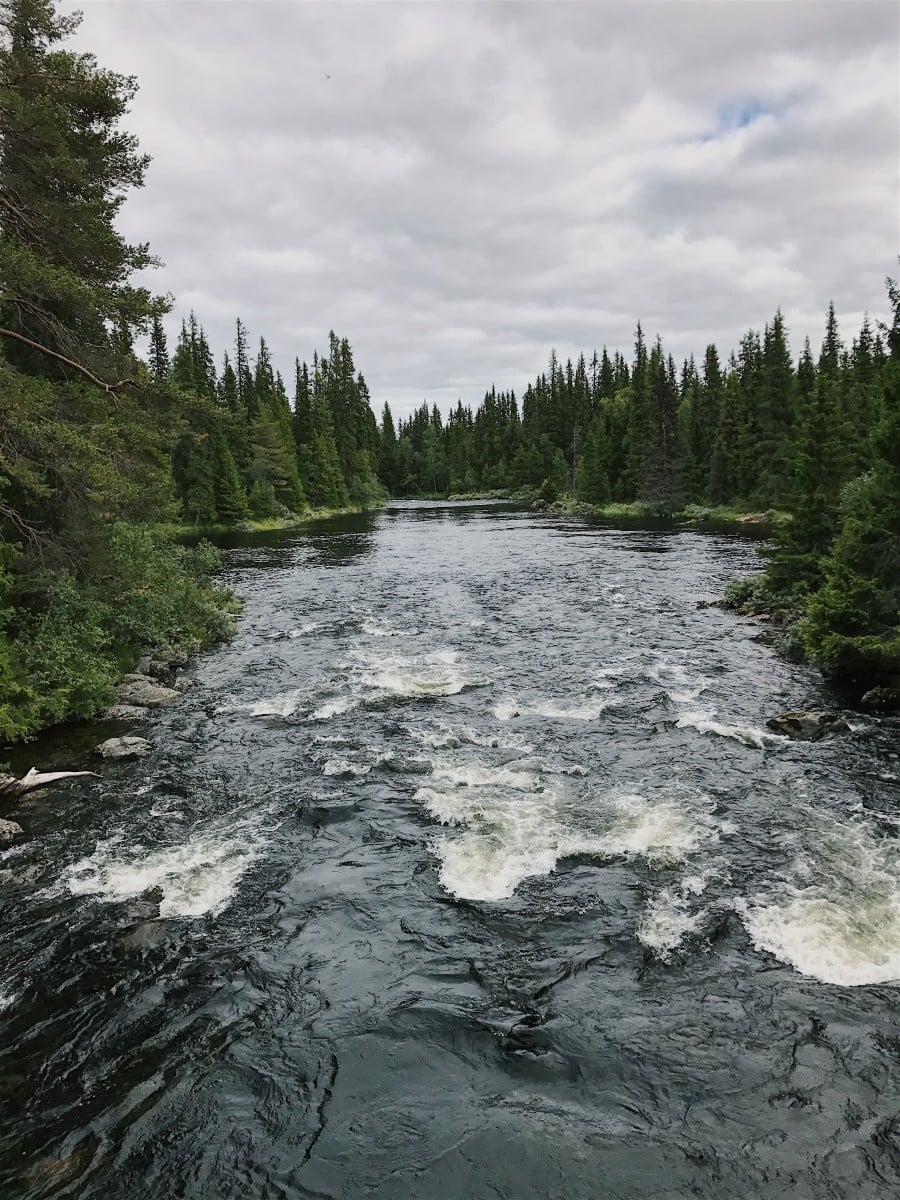 Travelling in Sweden as a Family