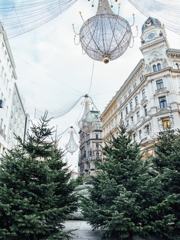 Lights and trees decorating Vienna