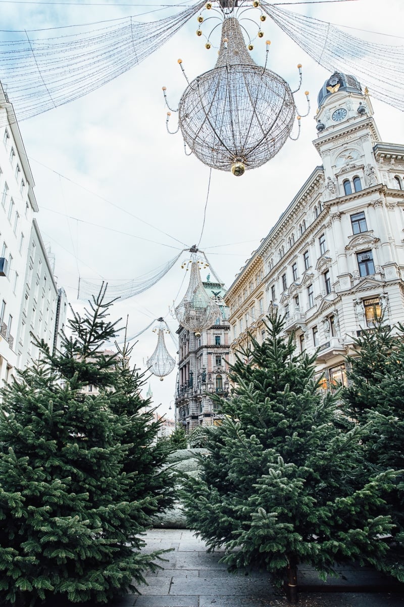 Lights and trees decorating Vienna