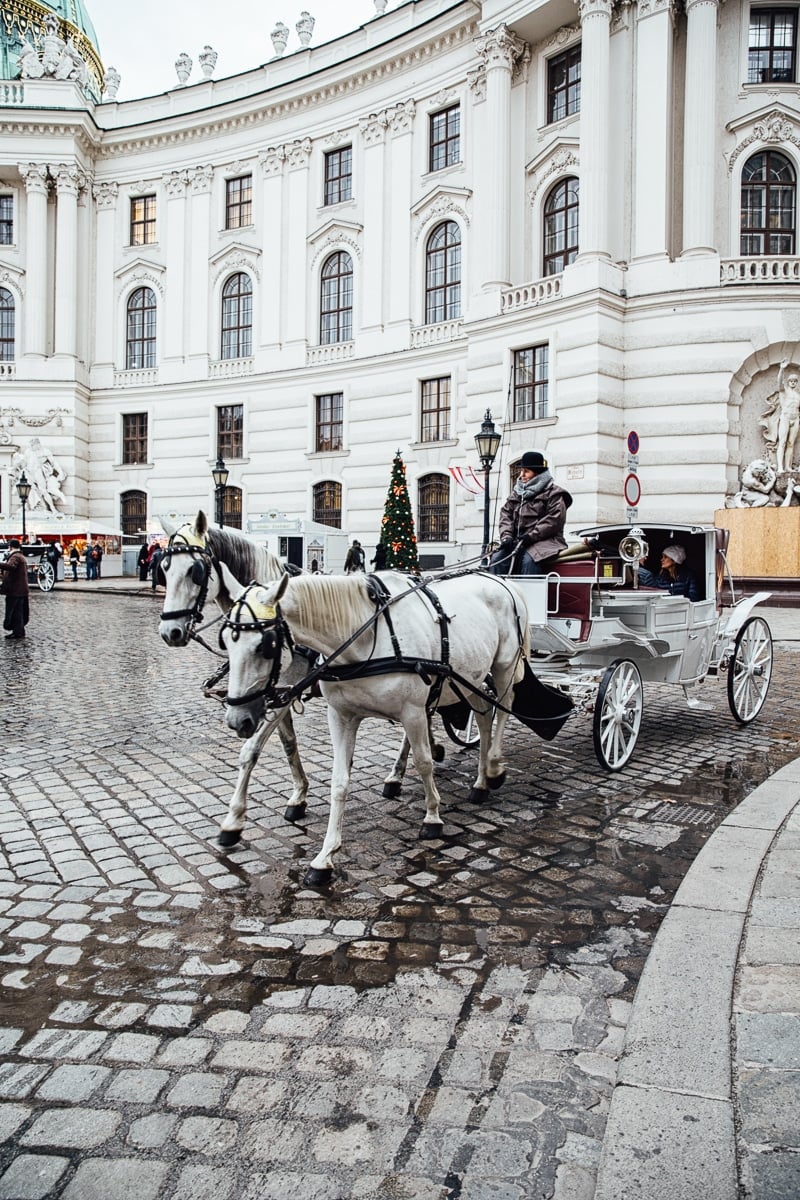 Visit to Vienna