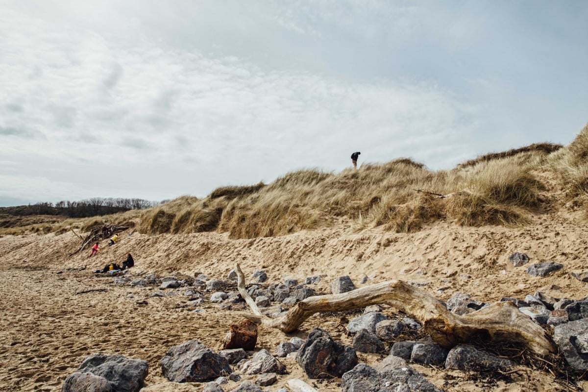 Sand dunes and driftwood on beach