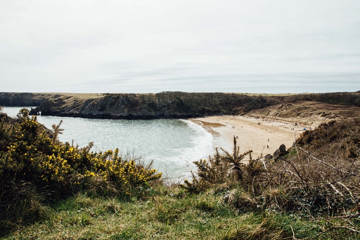 Barafundle Bay from hill on the East