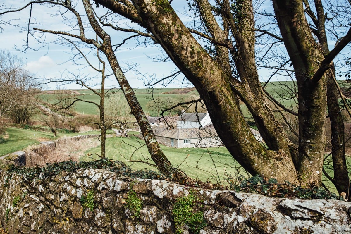 Welsh farm seen through trees