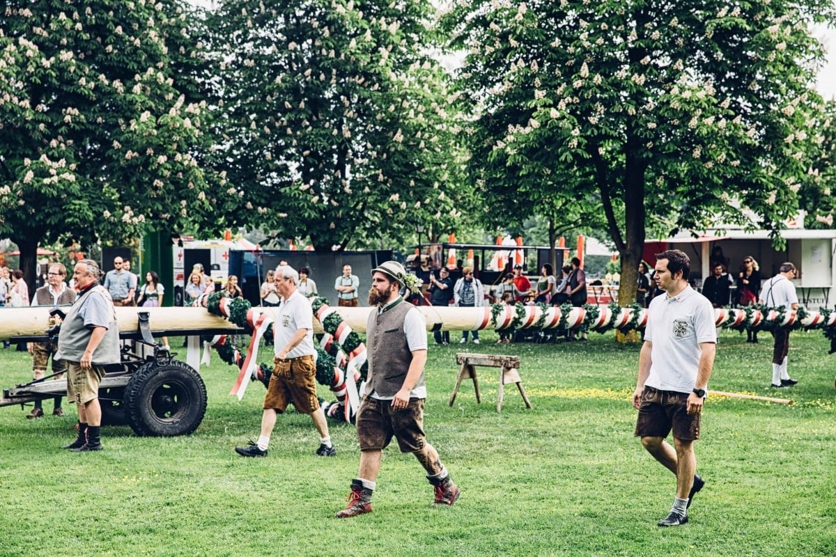 Men in lederhosen striding in front of a horizontal maypole preparing for the raising.