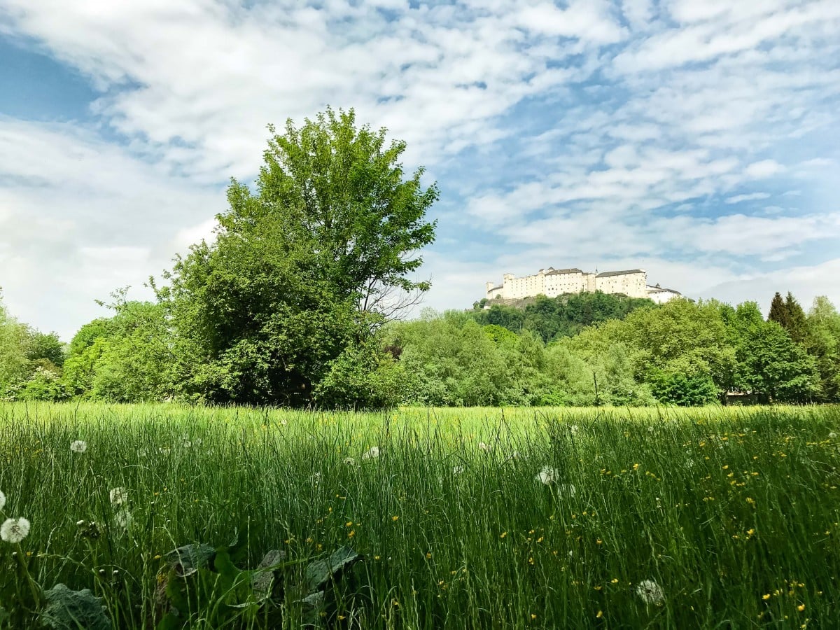 View of Hohensalzburg Castle from a field outside of Salzburg