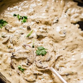 Close up view of spoon scooping creamy cognac sauce in a pan