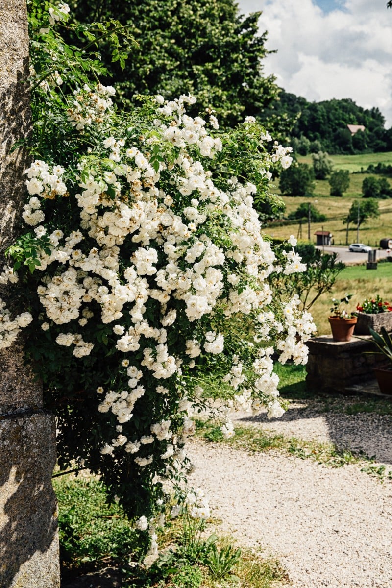 Comte Cheese and My Visit to the Jura Region of France