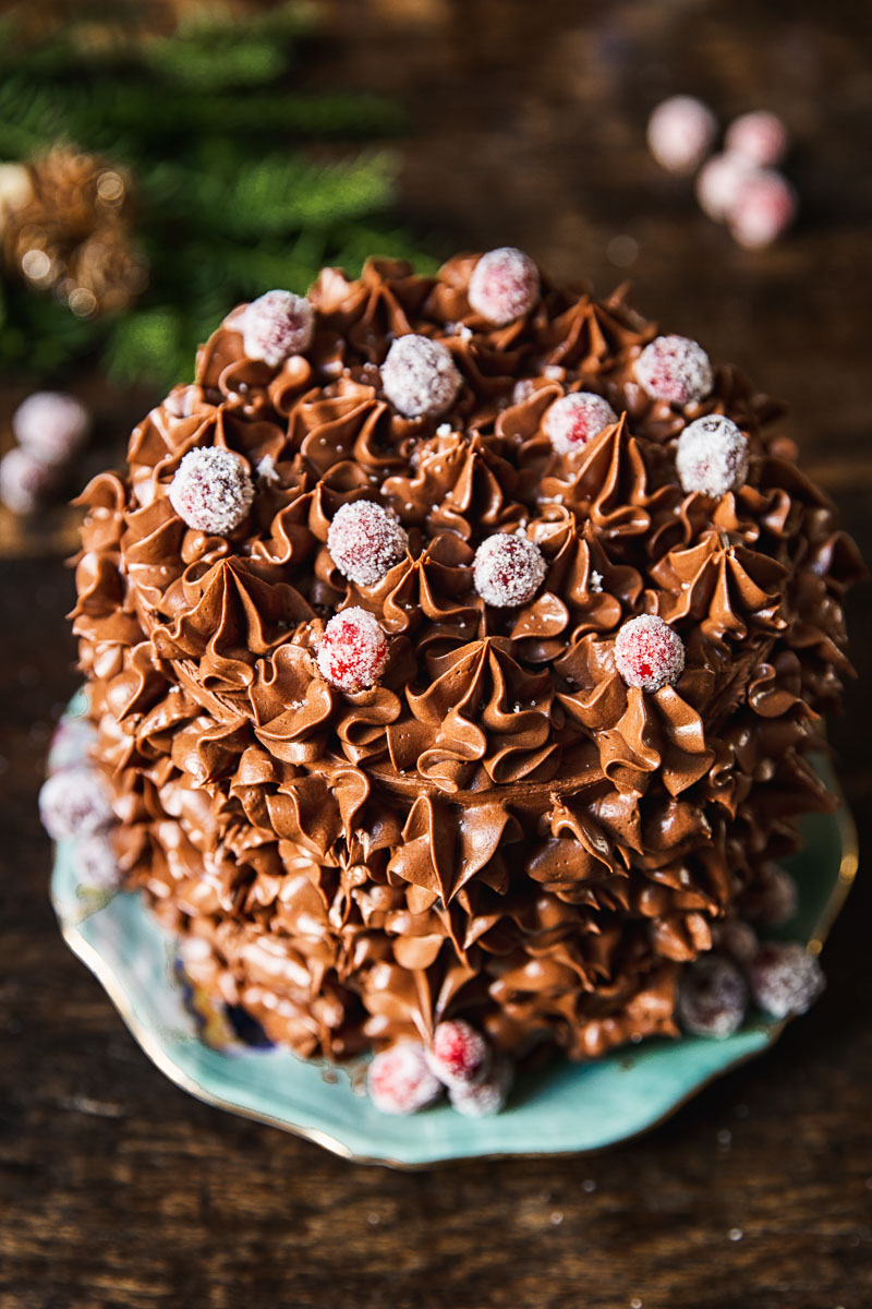 Christmas Chocolate Cake with Cranberries - Vikalinka