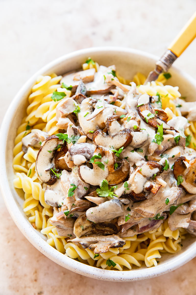 Mushroom Stroganoff over noodles