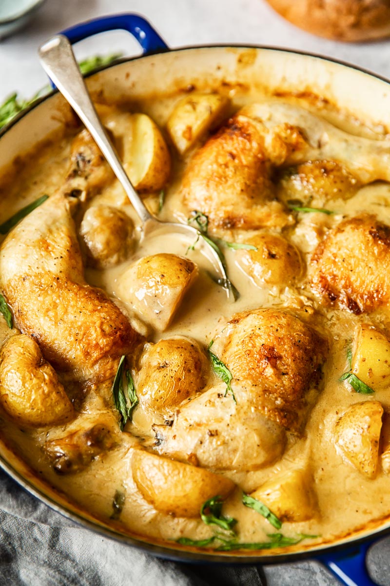 chicken legs and potatoes in creamy tarragon sauce
