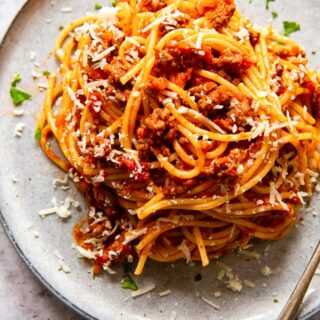 spaghetti with tomato meat sauce