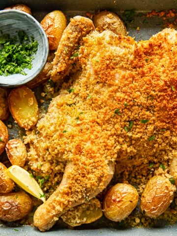 butterflied chicken in breadcrumbs and potatoes on grey pan