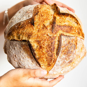 sourdough bread crust