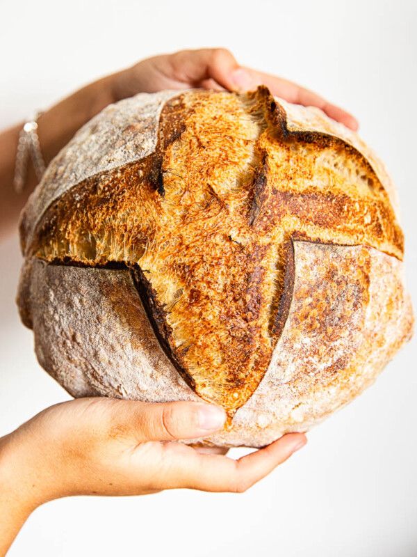 sourdough bread crust