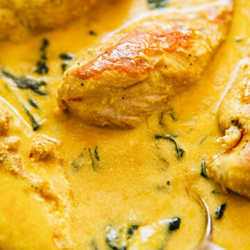 saffron cream sauce close up with chicken breasts