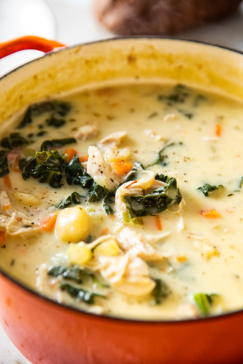 https://vikalinka.com/wp-content/uploads/2021/01/Chicken-Gnocchi-Soup-17-Edit.jpg