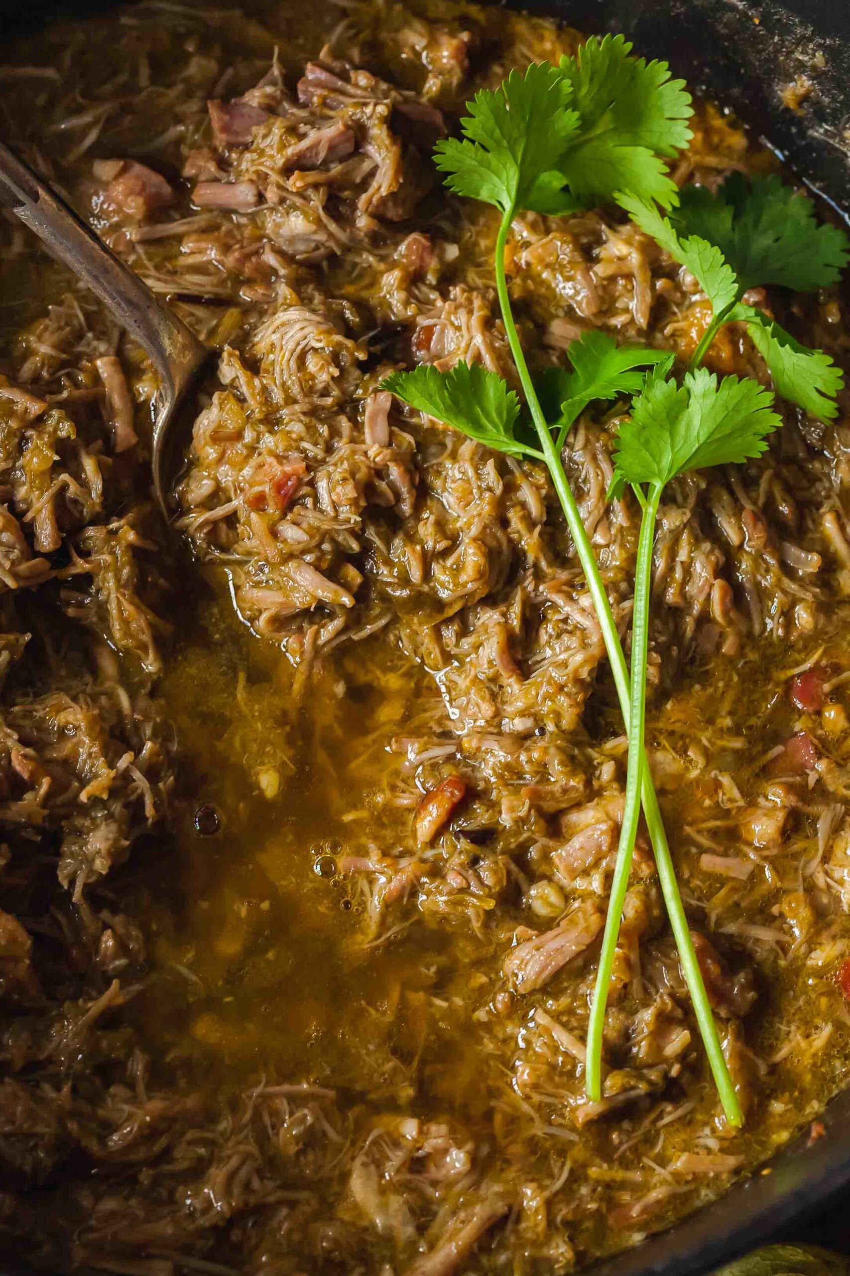 chile verde topped with fresh cilantro sprigs