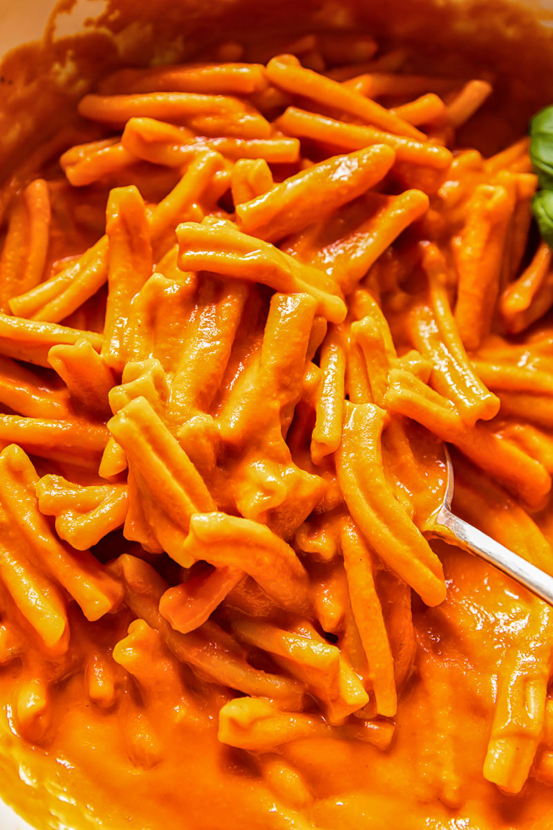 pasta covered in vodka sauce