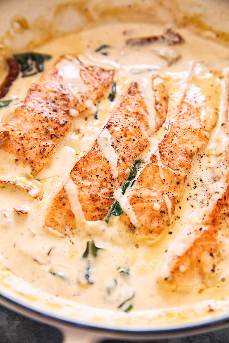 salmon in cream sauce closeup