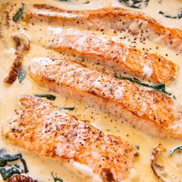 salmon in cream sauce with sun-dried tomatoes and spinach