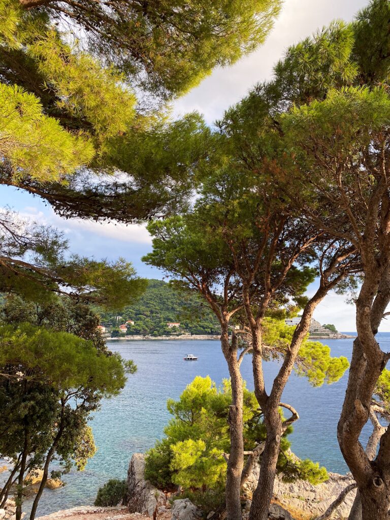 A bay with a boat seen through trees