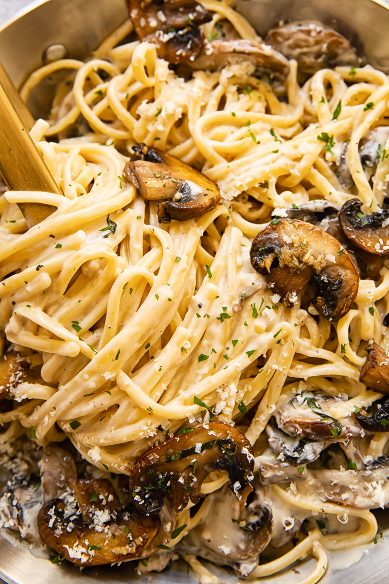 close up of creamy linguine with mushrooms