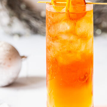 Side view of negroni fizz with orange as garnish