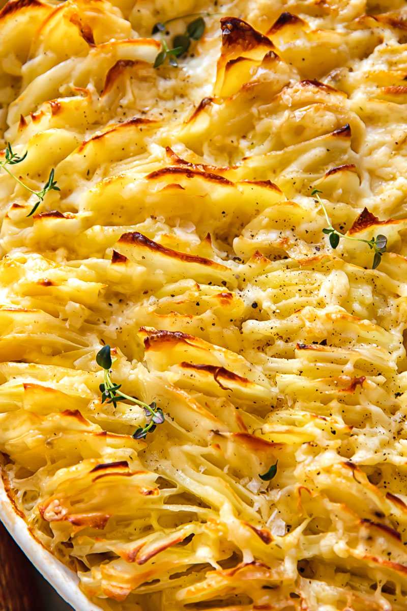 scalloped potatoes closeup