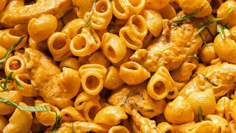 Tomato Cream Cheese Pasta with Chicken and Pancetta