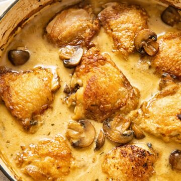 Top down view of chicken fricassee with mushrooms in a dish