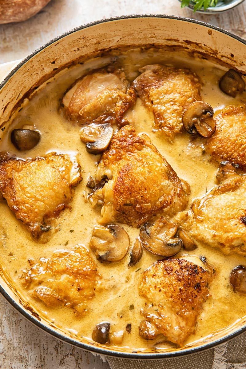 Top down view of chicken fricassee with mushrooms in a dish