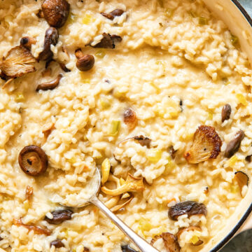 Close up shot of Truffle risotto in a bowl with a spoon